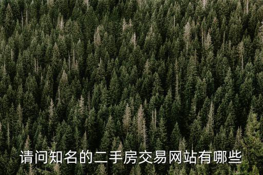 請問知名的二手房交易網站有哪些