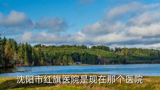 沈陽市紅旗醫院是現在那個醫院