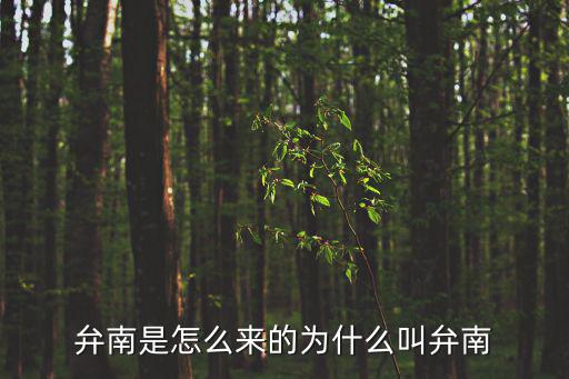 弁南是怎么來的為什么叫弁南