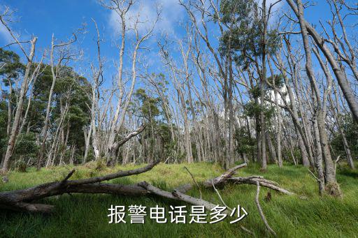報警咨詢熱線，報警電話有哪些