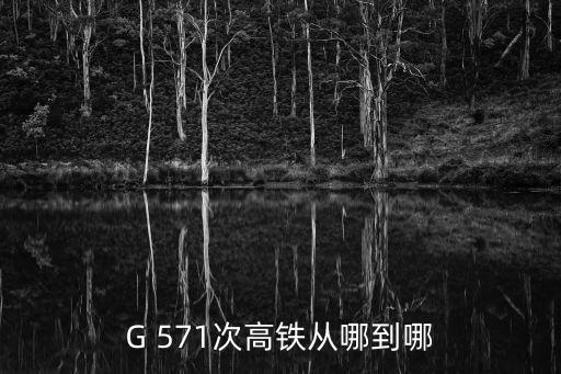 G 571次高鐵從哪到哪