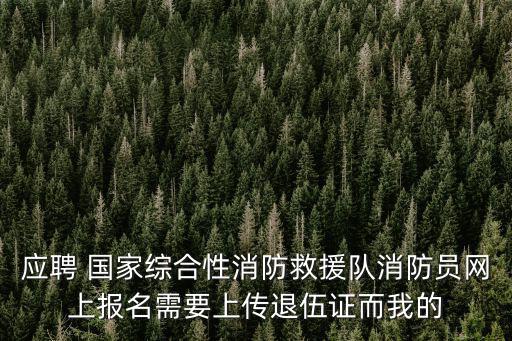 應聘 國家綜合性消防救援隊消防員網(wǎng)上報名需要上傳退伍證而我的