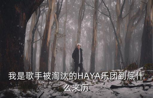 哈雅樂團，我是歌手被淘汰的HAYA樂團到底什么來歷