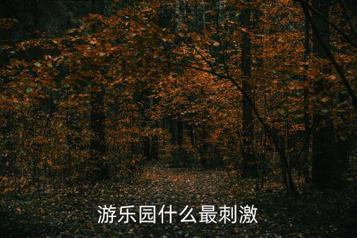 游樂(lè)園什么最刺激