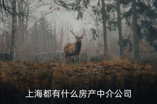 上海都有什么房產中介公司