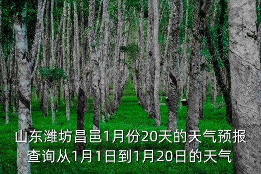 山東濰坊昌邑1月份20天的天氣預(yù)報(bào)查詢從1月1日到1月20日的天氣