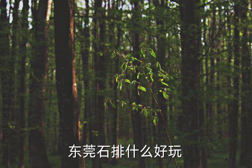 東莞石排什么好玩