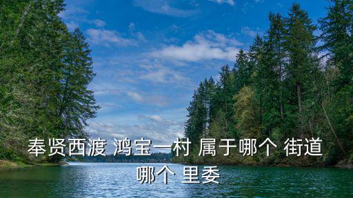 奉賢西渡 鴻寶一村 屬于哪個 街道 哪個 里委