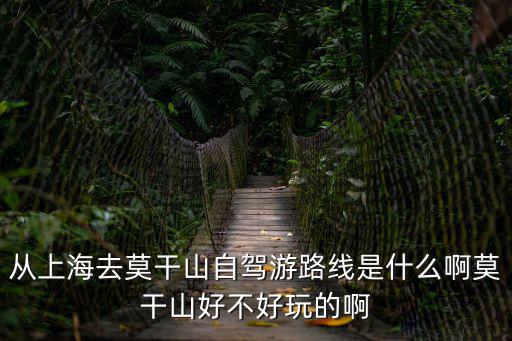 從上海去莫干山自駕游路線是什么啊莫干山好不好玩的啊