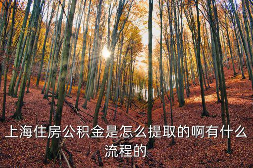 上海住房公積金是怎么提取的啊有什么流程的