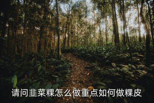 請問韭菜粿怎么做重點如何做粿皮