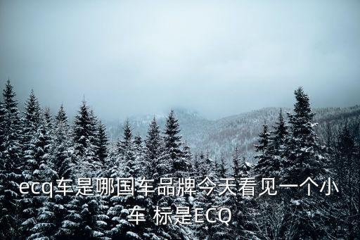 ecq車是哪國車品牌今天看見一個小車 標是ECQ