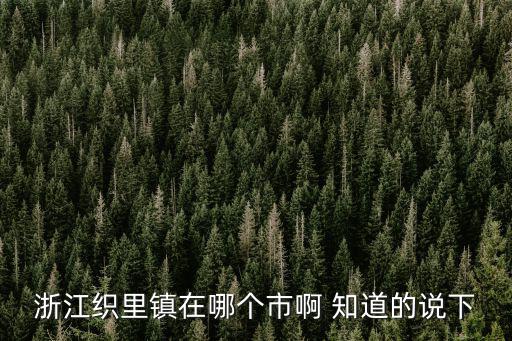 浙江織里鎮在哪個市啊 知道的說下