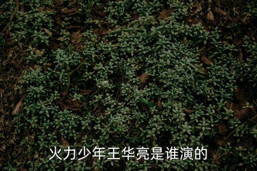 火力少年王華亮是誰(shuí)演的