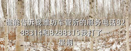 誰能告訴我濰坊車管所的服務電話8288314和8288315我打了一星期