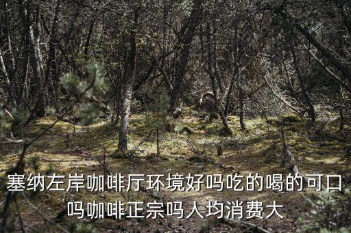 塞納左岸咖啡廳環(huán)境好嗎吃的喝的可口嗎咖啡正宗嗎人均消費(fèi)大