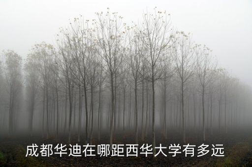 成都華迪在哪距西華大學有多遠