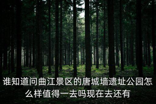 誰知道問曲江景區的唐城墻遺址公園怎么樣值得一去嗎現在去還有