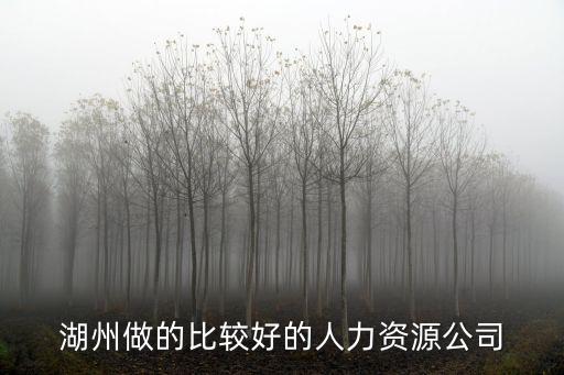 湖州做的比較好的人力資源公司