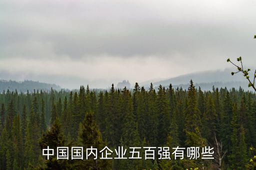 中國國內(nèi)企業(yè)五百強(qiáng)有哪些