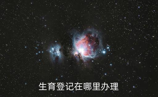 生育登記在哪里辦理