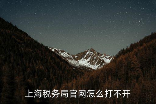 上海稅務局官網怎么打不開