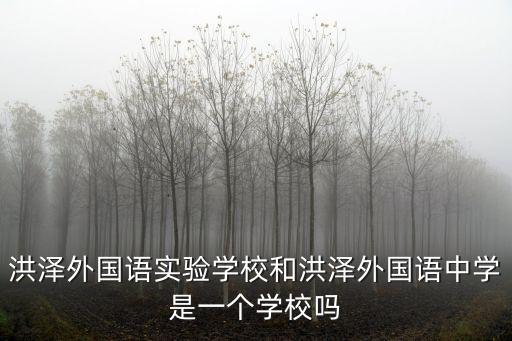 洪澤外國語實驗學校和洪澤外國語中學是一個學校嗎