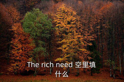 The rich need 空里填什么