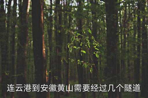 連云港到安徽黃山需要經過幾個隧道