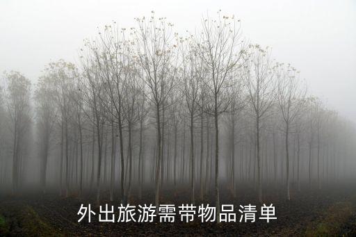 外出旅游需帶物品清單