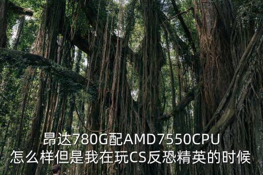 昂達780G配AMD7550CPU怎么樣但是我在玩CS反恐精英的時候