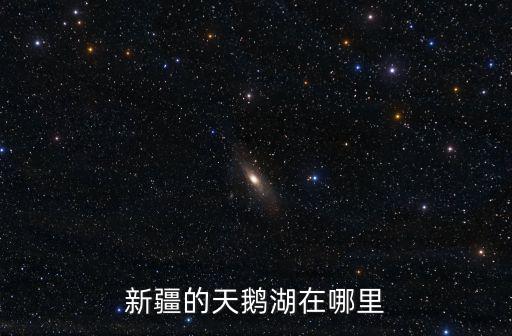 新疆的天鵝湖在哪里