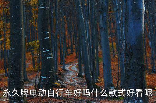 永久牌電動自行車好嗎什么款式好看呢