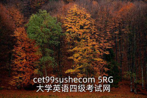 cet99sushecom 5RG大學英語四級考試網