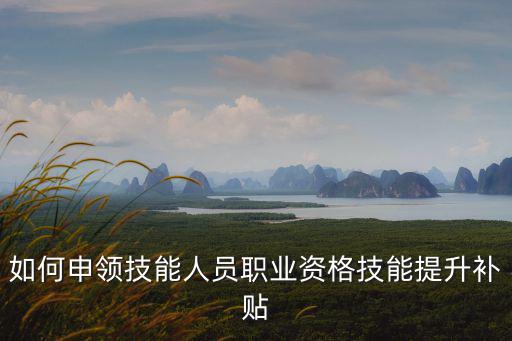 技能人員職業(yè)資格，國家職業(yè)資格技能證書有多少