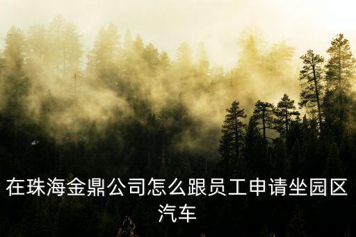 在珠海金鼎公司怎么跟員工申請坐園區汽車