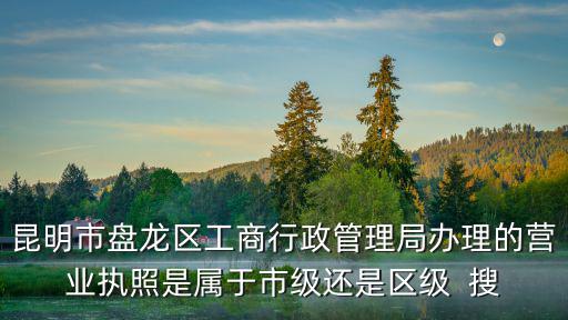 昆明市盤龍區工商行政管理局辦理的營業執照是屬于市級還是區級  搜