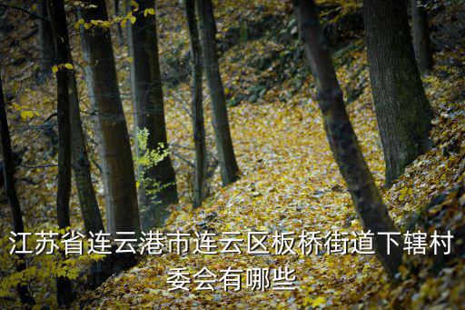 板橋街道，江蘇省連云港市連云區(qū)板橋街道下轄村委會有哪些