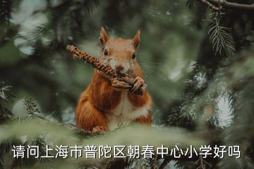 請問上海市普陀區朝春中心小學好嗎