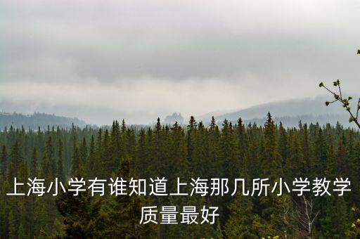 上海小學(xué)有誰知道上海那幾所小學(xué)教學(xué)質(zhì)量最好