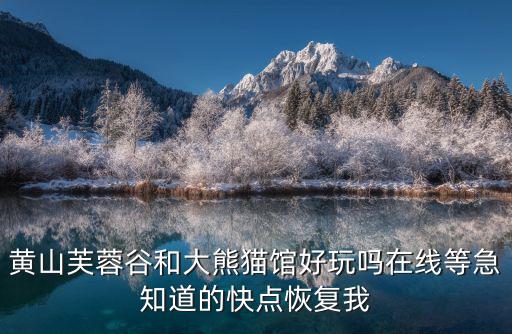 芙蓉谷，黃山的芙蓉谷怎么這么惡心啊啊啊為什么坑錢