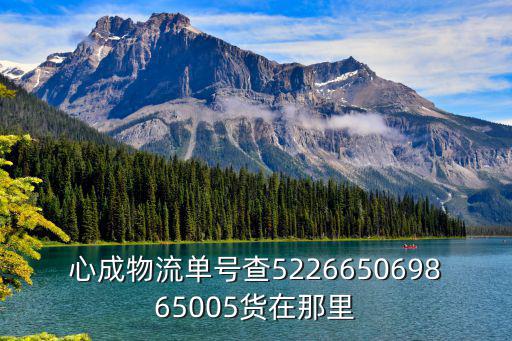 心成物流單號(hào)查522665069865005貨在那里