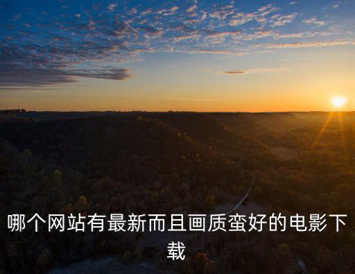 哪個(gè)網(wǎng)站有最新而且畫質(zhì)蠻好的電影下載