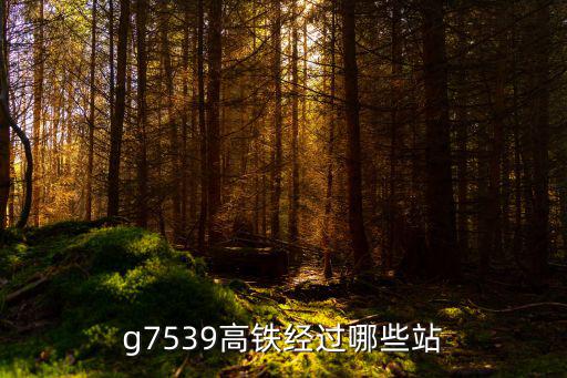 g7539高鐵經過哪些站