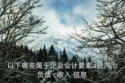以下哪些屬于企業會計要素a資產 b負債 c收入 信息