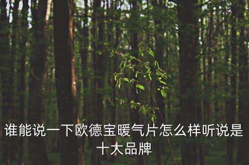 誰能說一下歐德寶暖氣片怎么樣聽說是十大品牌