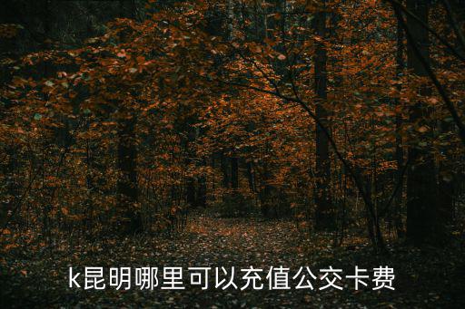 k昆明哪里可以充值公交卡費(fèi)