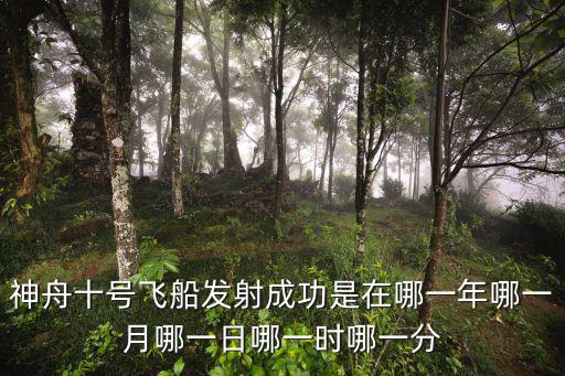 神舟十號發(fā)射時間，神舟十號什么時候上天的