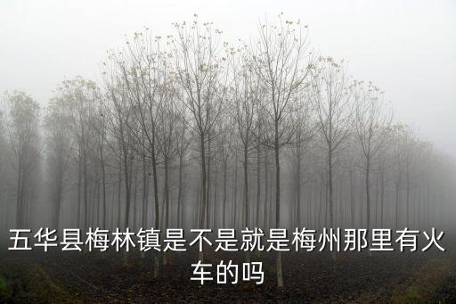 五華縣梅林鎮(zhèn)是不是就是梅州那里有火車的嗎