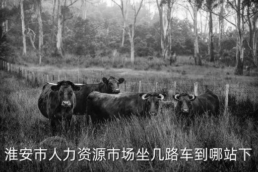 淮安市人力資源市場(chǎng)坐幾路車到哪站下